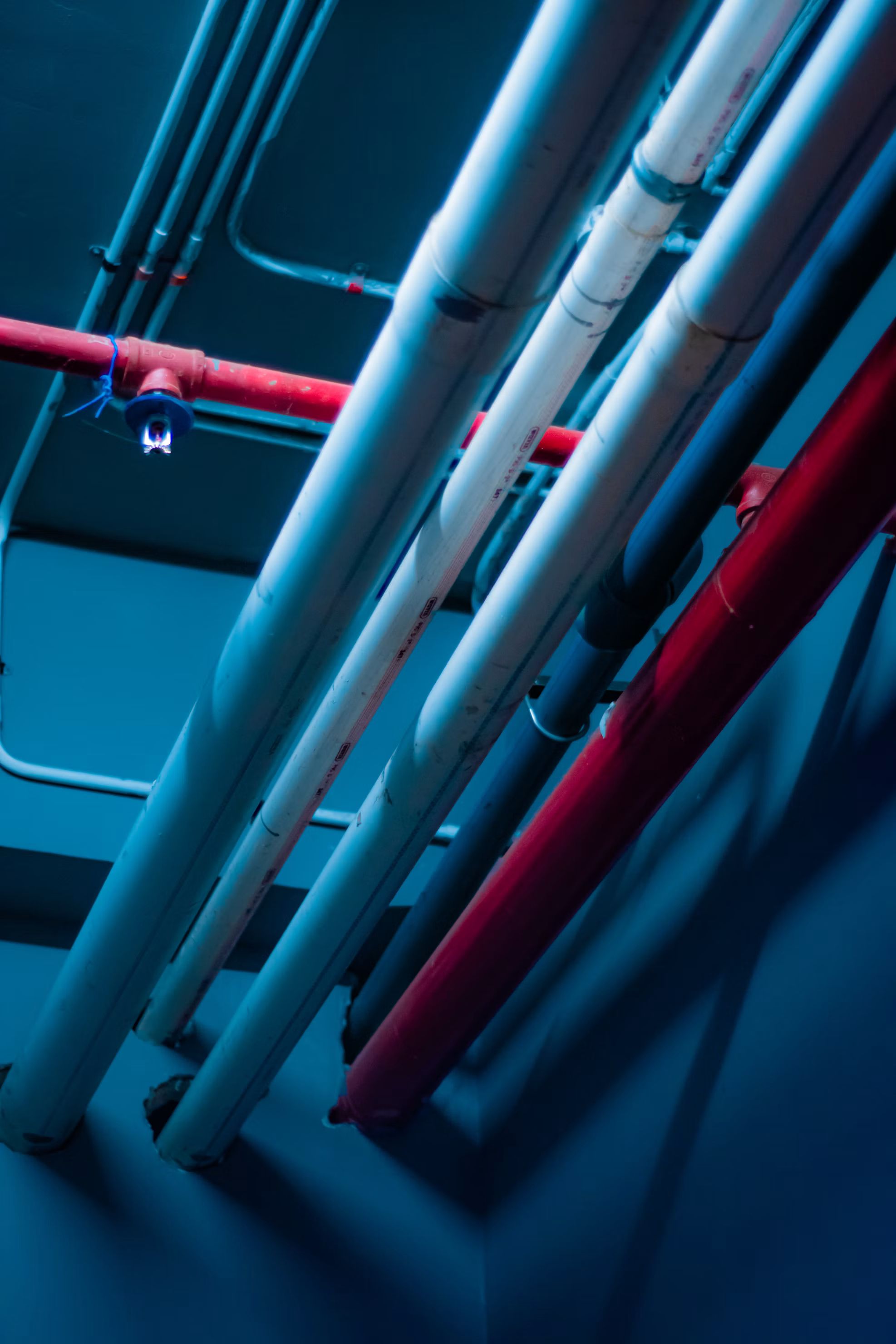 Overhead supply and waste piping in a commercial building ceiling